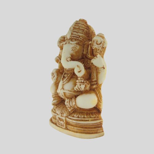 Ganesh Brown (3)