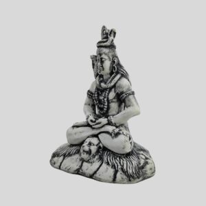 Shiva Statue (3)