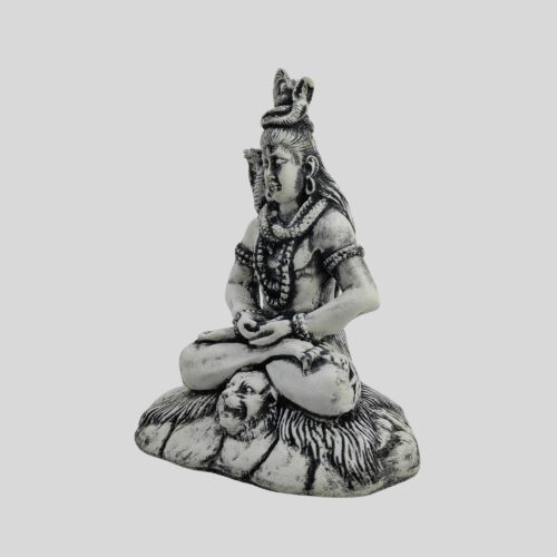 Shiva Statue (3)